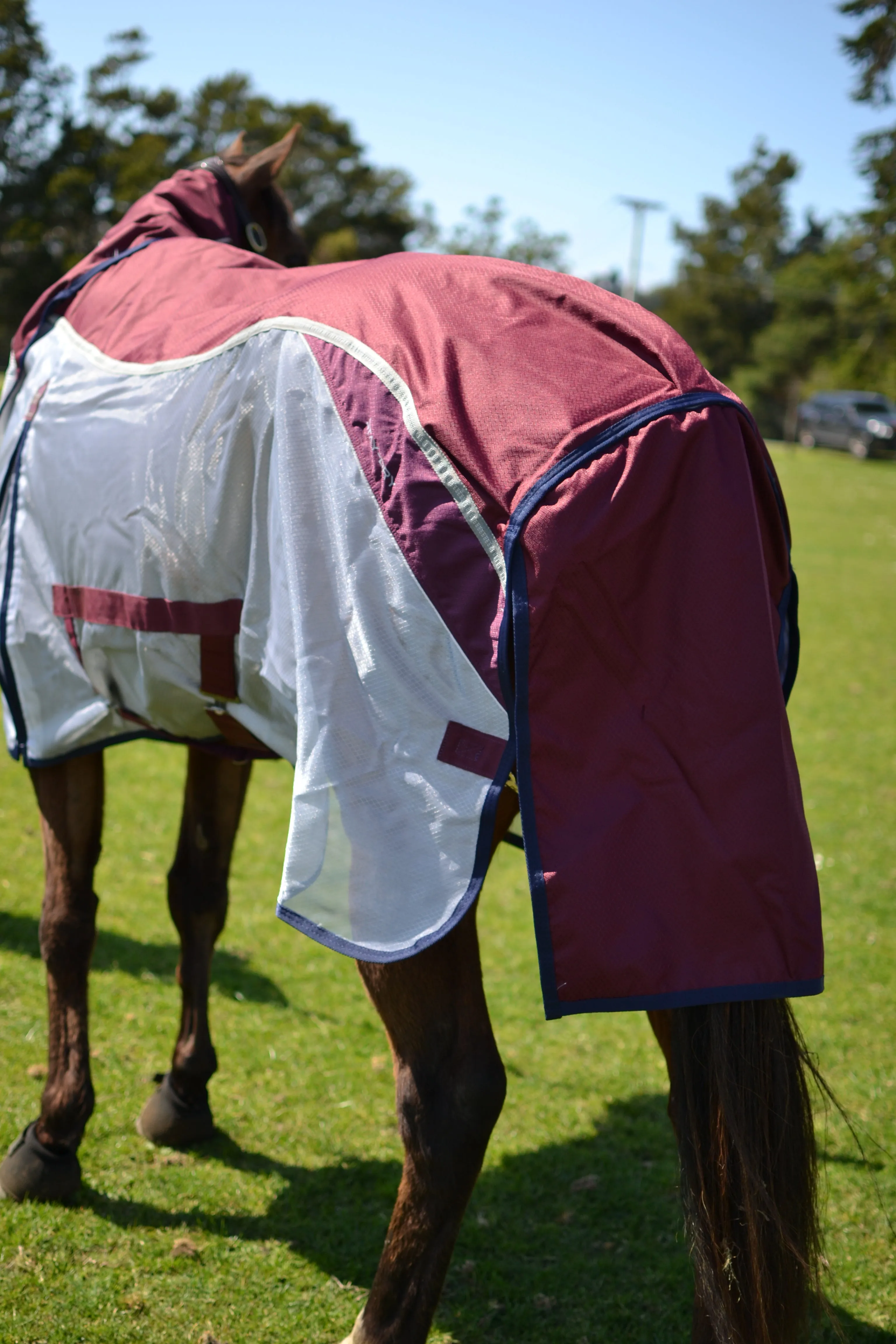 Premier Equine Buster Stay-Dry Super Lite Mesh Rug with Surcingles