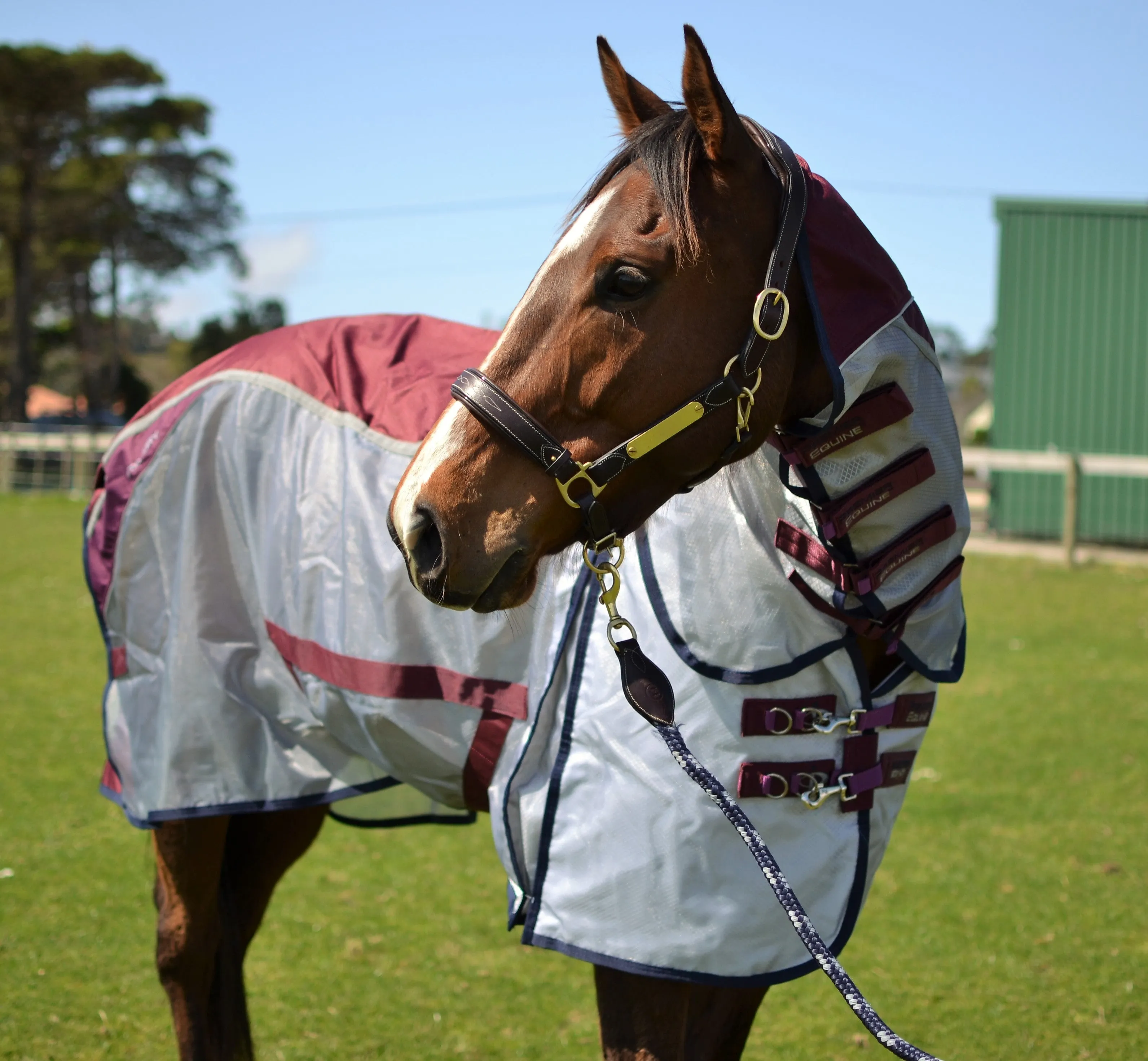 Premier Equine Buster Stay-Dry Super Lite Mesh Rug with Surcingles