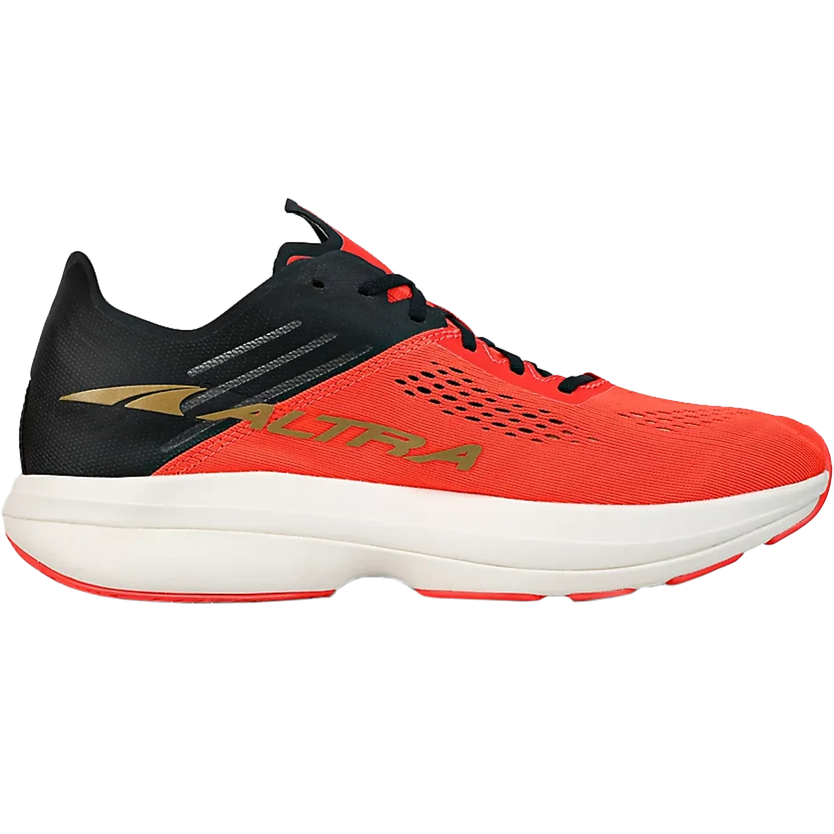 Women's Vanish Carbon