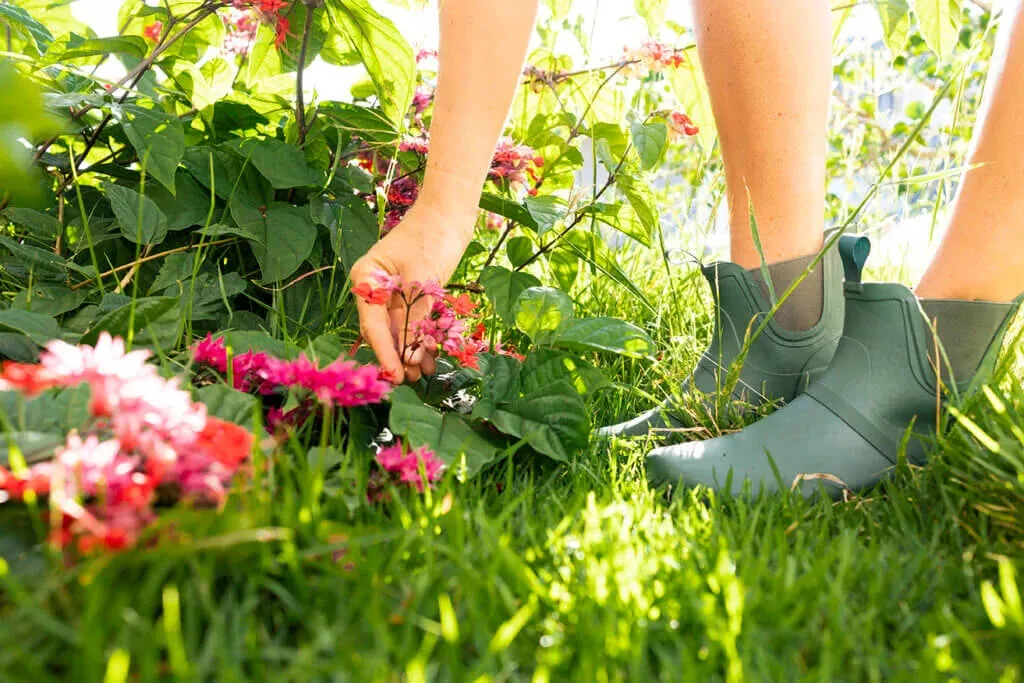 Xero Rain Boots - Gracie